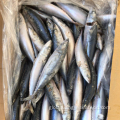 Spanish Mackerel Froen Whole Round Mackerel 80-120 Manufactory